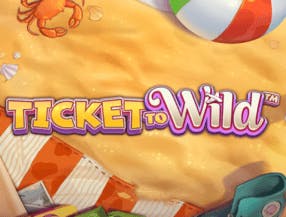 toto online betting